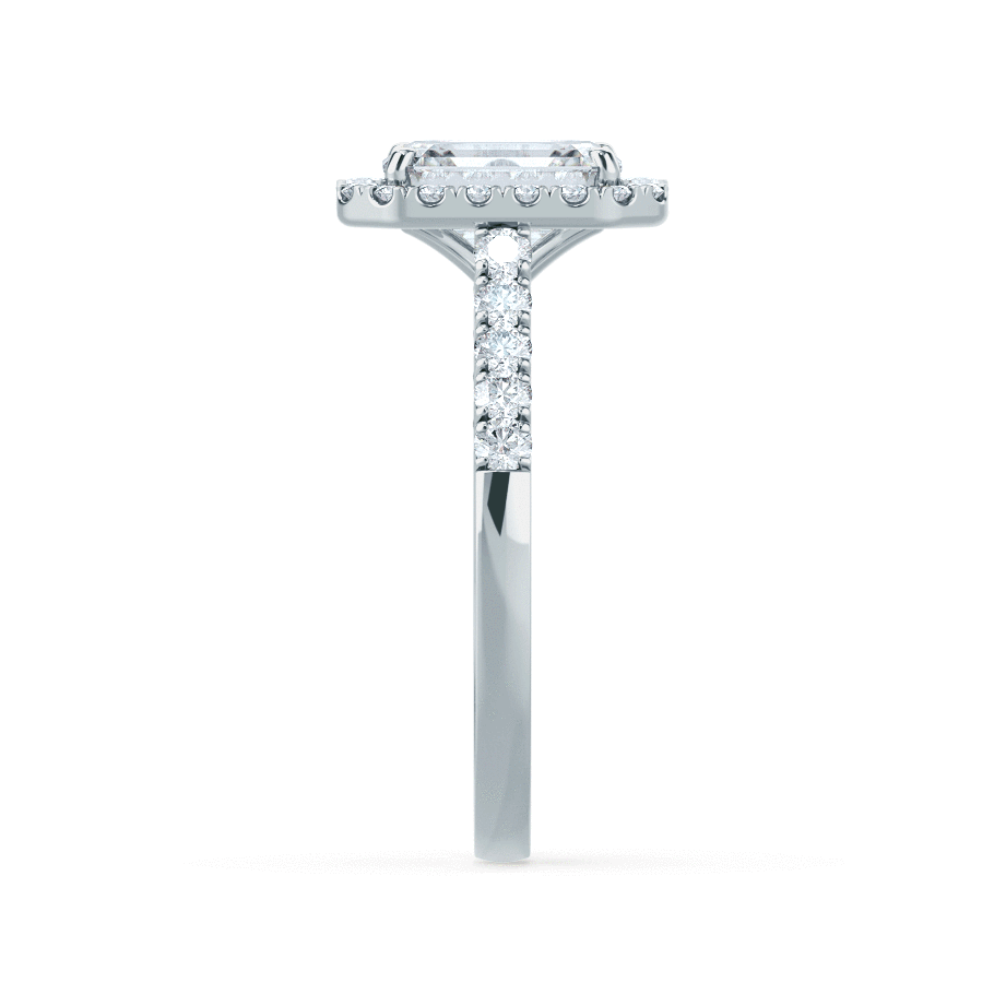 LAW100