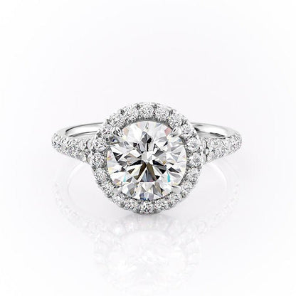 FLM004
