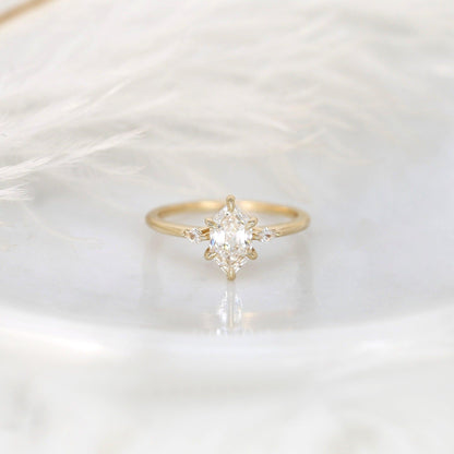LAP008